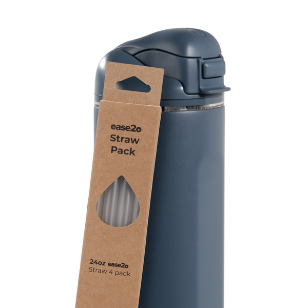 Ease2o Straws 4 Pack 24oz X0
